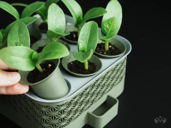 Self Watering Seed Starter with Greenhouse Cover